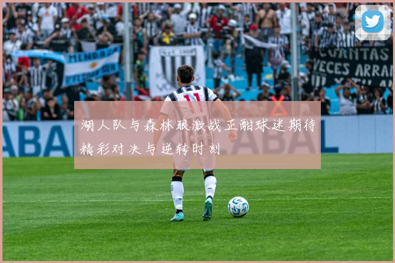 湖人队与森林狼激战正酣球迷期待精彩对决与逆转时刻
