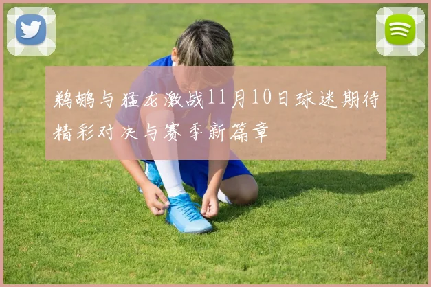 鹈鹕与猛龙激战11月10日球迷期待精彩对决与赛季新篇章
