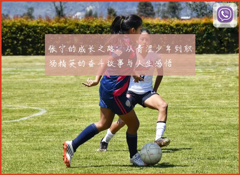 张宁的成长之路：从青涩少年到职场精英的奋斗故事与人生感悟